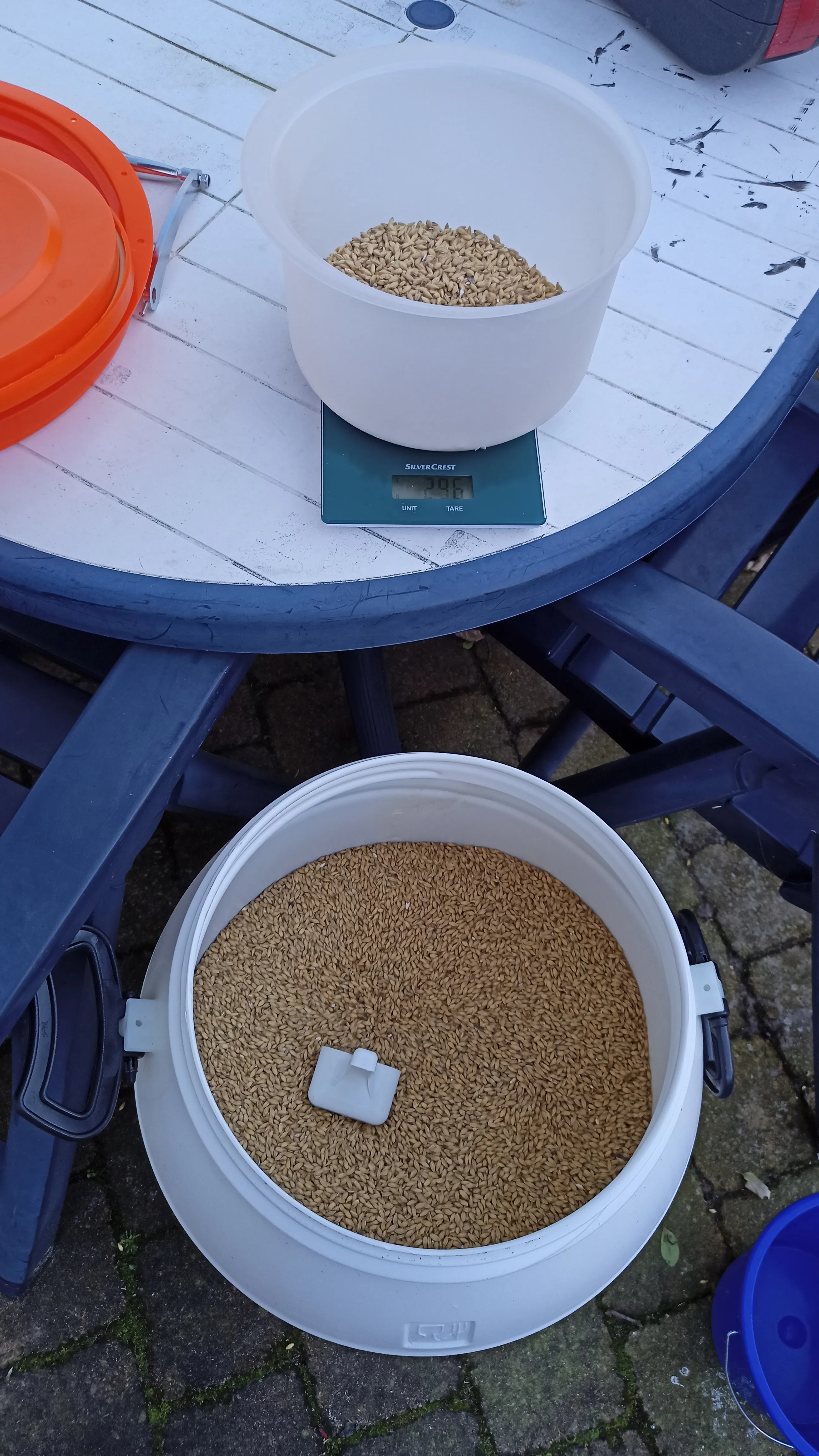 IMG20210220110819 IMG20210220110819