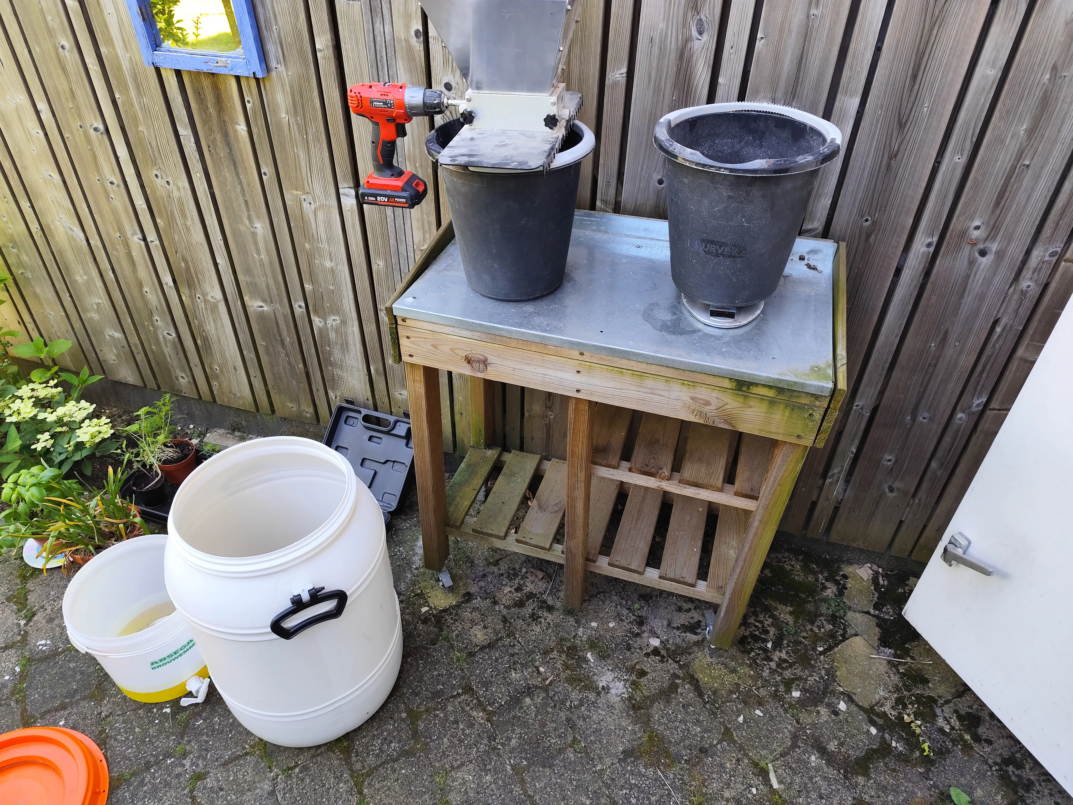 IMG_20240609_125421 IMG_20240609_125421