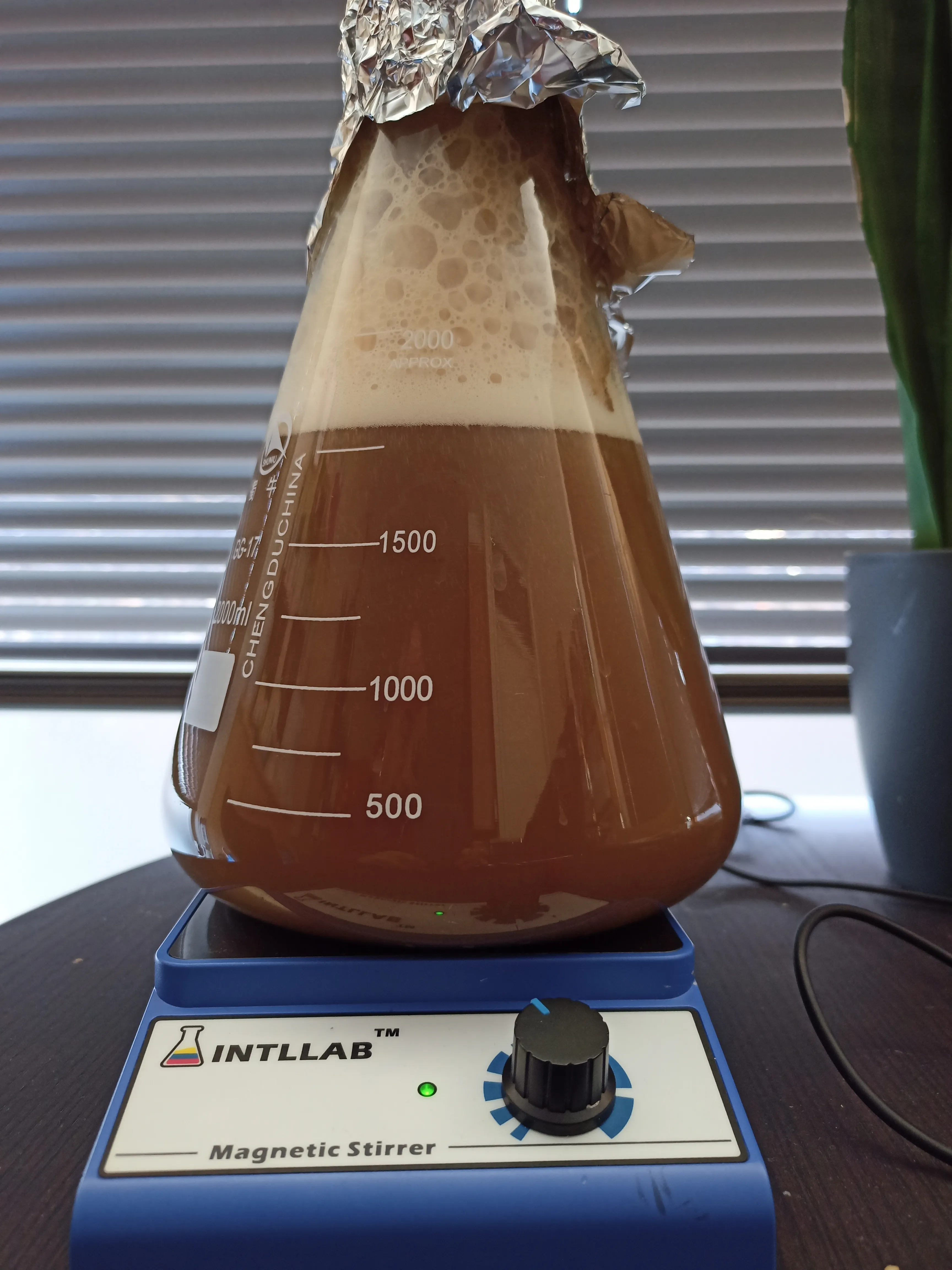 IMG20220319081946 IMG20220319081946