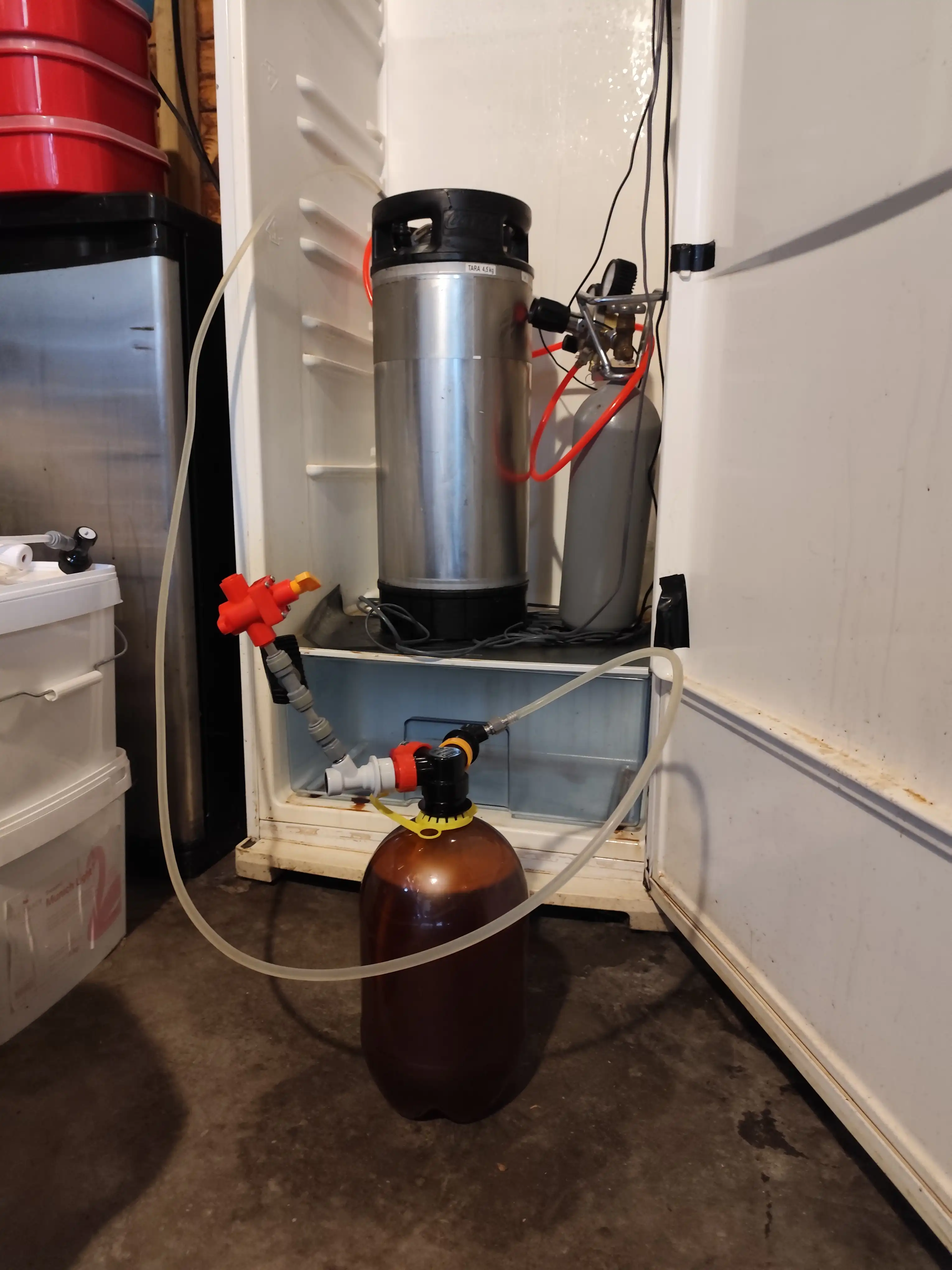 IMG_20241212_122915 IMG_20241212_122915