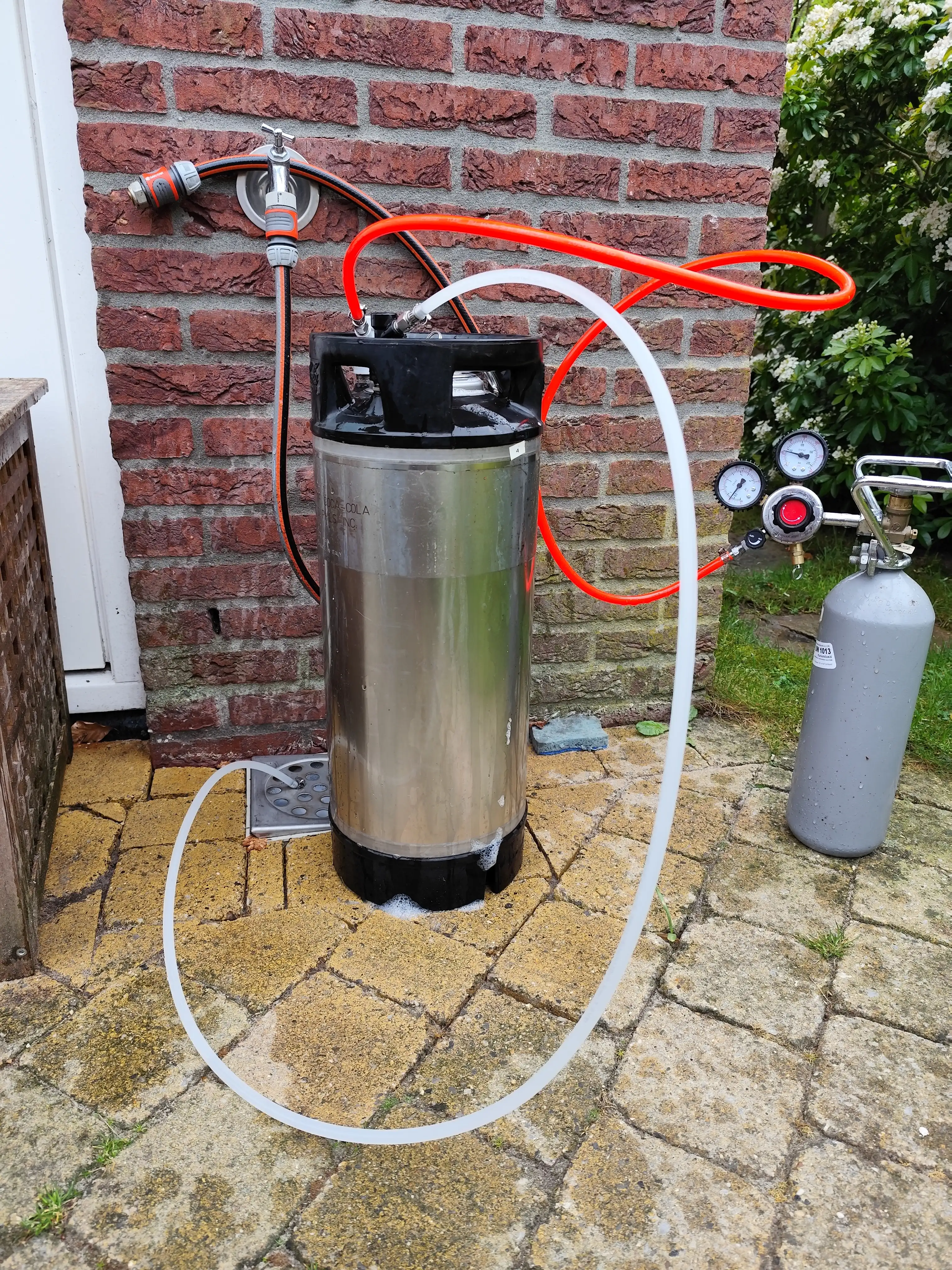 IMG_20250416_171518 IMG_20250416_171518