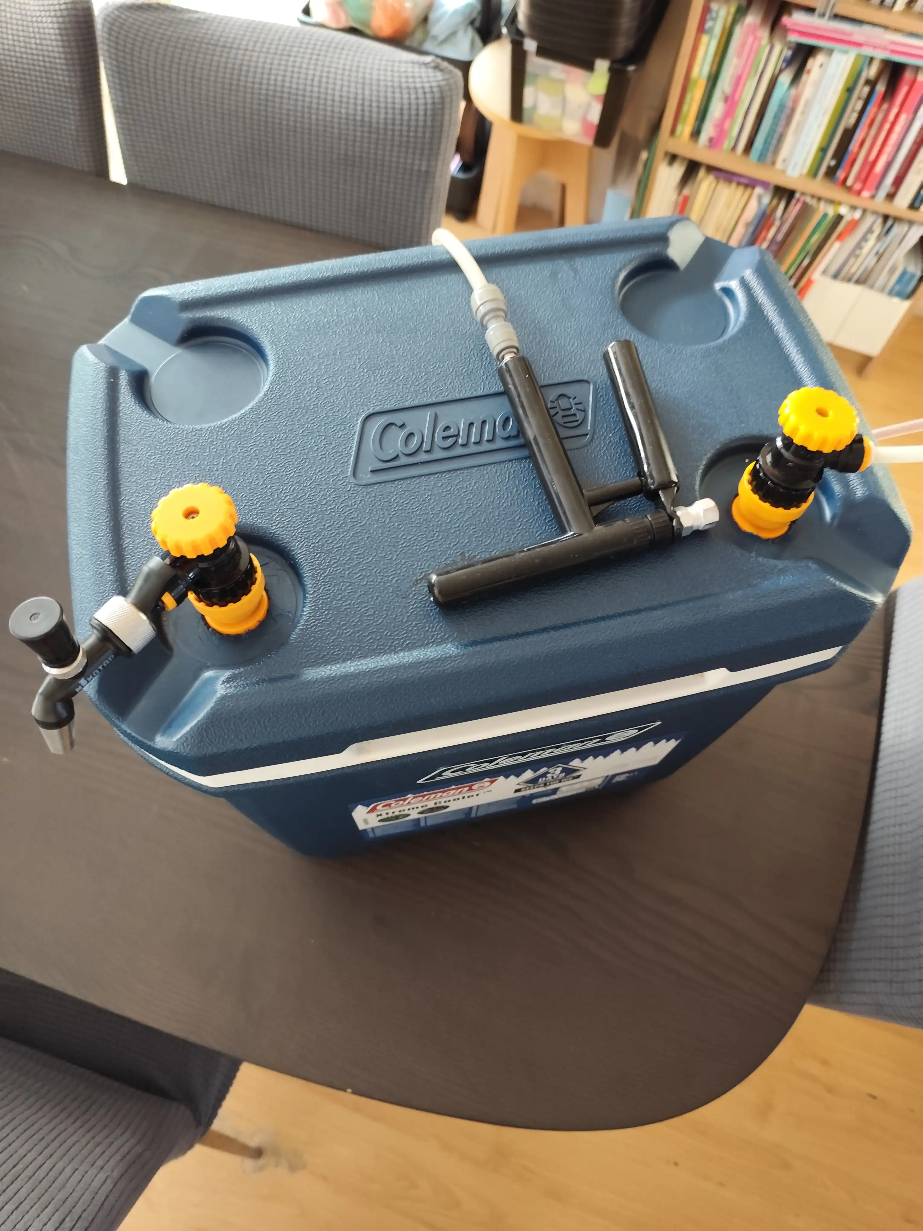 IMG_20241118_115508 IMG_20241118_115508