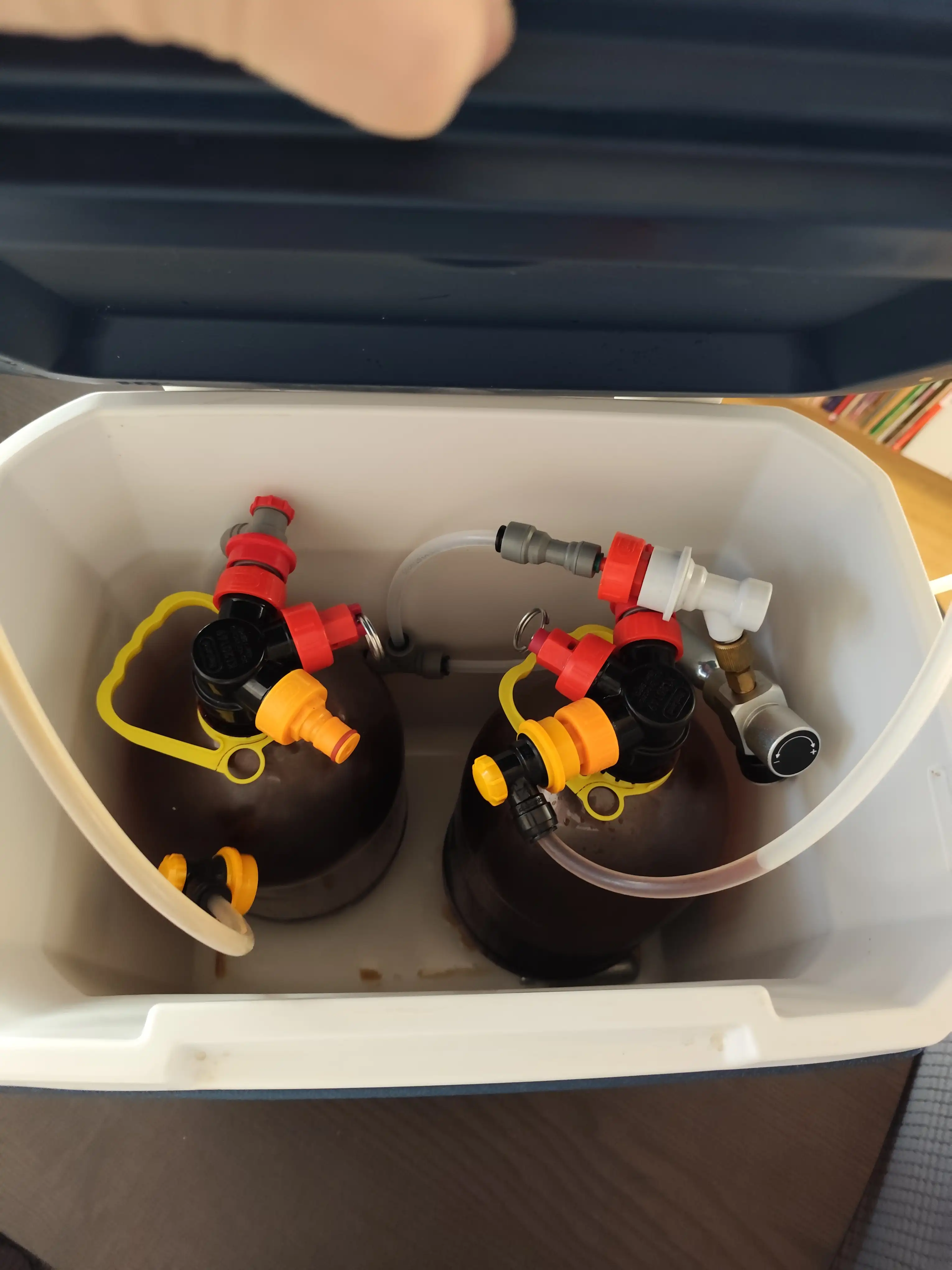 IMG_20241118_115517 IMG_20241118_115517